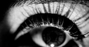An Eye-Opening Look