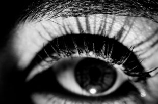 An Eye-Opening Look