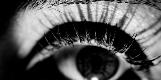 An Eye-Opening Look