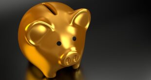 How to Start Investing