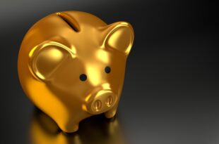 How to Start Investing