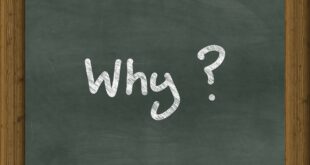 Why Sustainable Living is