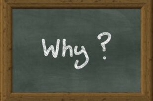 Why Sustainable Living is