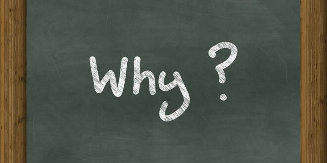 Why Sustainable Living is